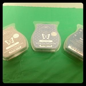 Variety pack of Masculine Scentsy Wax